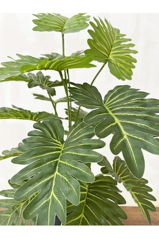 Yapay Ağaç Salon Bitkisi Syngonium 70 Cm 18 Yaprak Antrasit Saksı