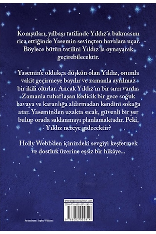 Kayıp Kedicik Yıldız