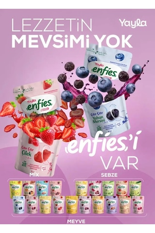 Yayla Enfies Freeze Dried Dondurularak Kurutulmuş Çıtır Meyve-portakal 15 Gr 15 G