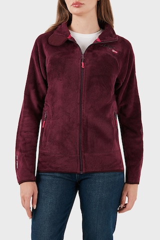 Norway Geographical Bayan Polar Upalıneb Mor Mor