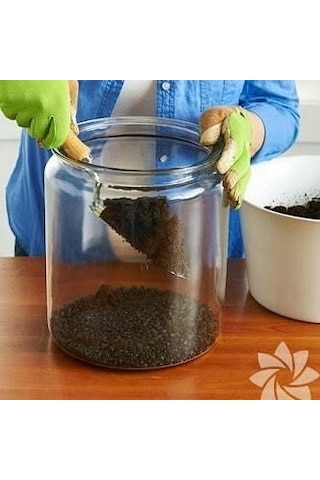 1 Kg Terrarıum Toprağı, Sukulent, Kaktüs Toprağı Organik, Kokusuz Diğer