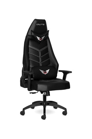 Calitte Profesyonel Oyuncu Koltuğu | Titan Tt Eco | Siyah