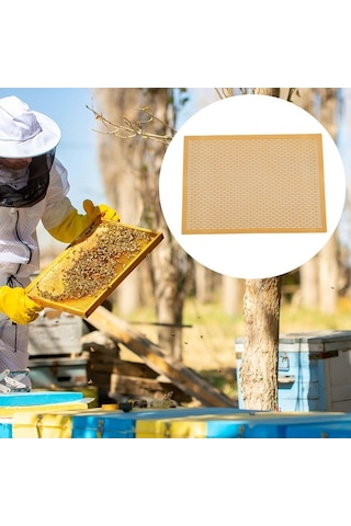 Pazly Suntek Kraliçe Arı Dışlayıcı Çerçeve, 8'li Çerçeve Seti