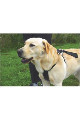 Beeztees Köpek Araç İçi Göğüs Tasması, Siyah, 40-65cm Göğüs Çapı, 15mm Siyah