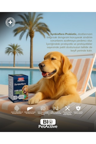 Bio Petactive Biotic Probiyotik Prebiyotik Büyük Orta Irk Köpek 60 Tablet