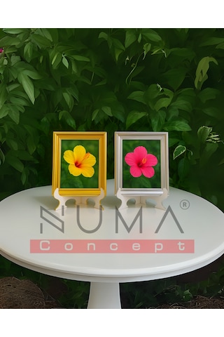 Ahşap Beyaz Çerçeve Ayaklığı Her Biri 22x15 Cm Geçmeli Stand