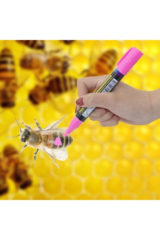 Sones Kraliçe Arı Marker Kalem Arı Özel Marker Kalem Arı Vurgulayıcıya Zarar Vermez, Rastgele Renk Dağıtımı