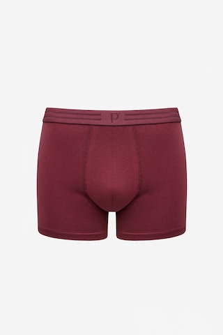 Penti Erkek Pamuklu Basic Çok Renkli 3lü Boxer