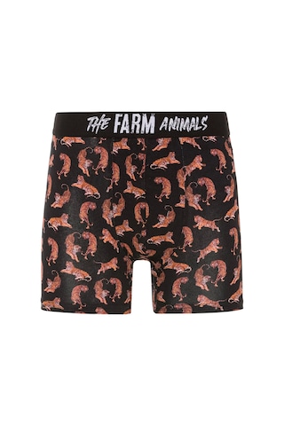 Farm Animals Tigers Desenli Boxer