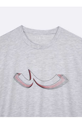 Ltb Logo Baskılı Gri T-shırt Gri