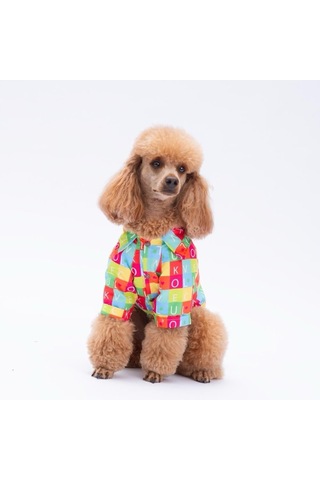 Pawstar Sarasota Kedi Ve Küçük Irk Köpek Gömleği