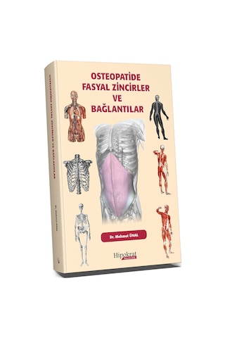 Osteopatide Fasyal Zincirler Ve Bağlantılar