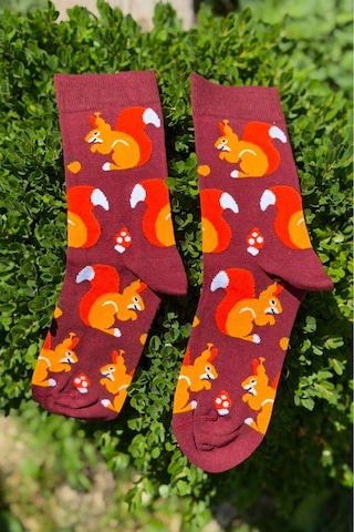 Lousocks Unisex Sincap Desenli Renkli Soket Çorap Bordo