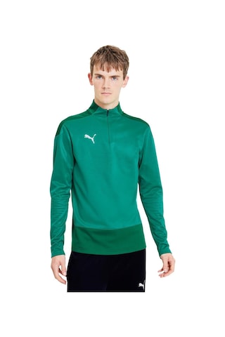 Puma 656476 Teamgoal 23 Training 1 4 Zıp Top Yeşil Yeşil