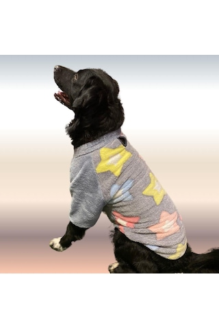 Gedyco Stars Premium Peluş Orta Irk Köpek Sweatshirtü