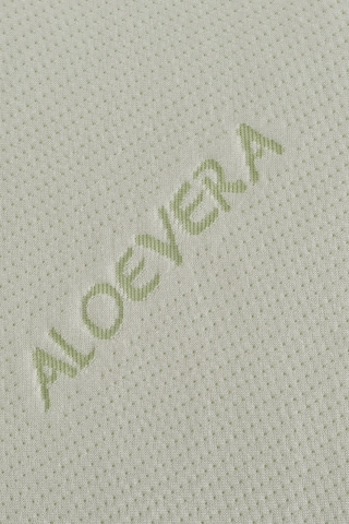Rudu Aloevera Yastık Kılıfı Visco Visko 60x40x14cm Beyaz - Yeşil