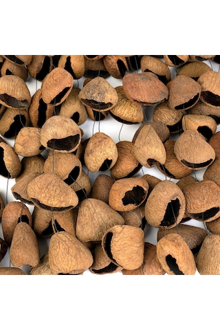 Sela Seed Chime Pangi Sesdc3