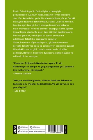 Schrödinger Plajda