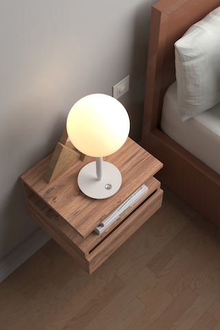 Flora Komodin Atlantik Çam