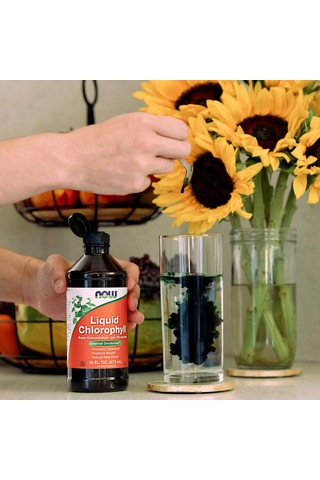 Now Foods, Liquid Chlorophyll, Mint , 16 Fl Oz 473 Ml -nefes Te
