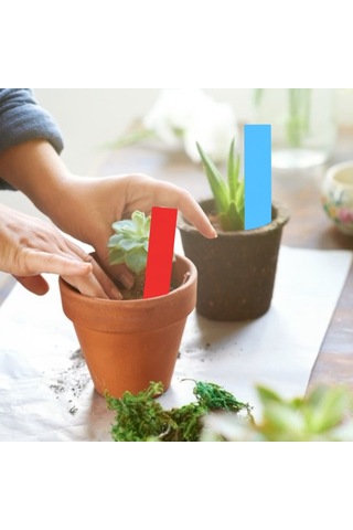 Xiyyadms Pvc Su Geçirmez Bitki Etiketleri, Çift Kullanımlı Toprağa Takma Ve Asma , Yazılabilir, 100 Adet Mavi+kırmızı