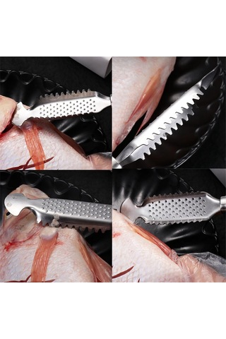 Balık Pulları Kazıyıcı Alet, Çok Amaçlı Balık Pulları Temizleme Kiti Beyaz