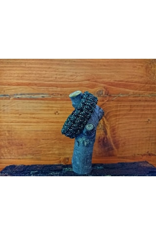 Paracord Bileklik L Çok Renkli