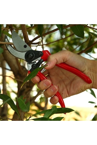 Pazly Meyve Makası, Makası, Makası Budama Budama Bahçe Ağaçları Cq