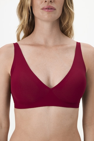 Penti Bordo Fit Decolette Sütyen