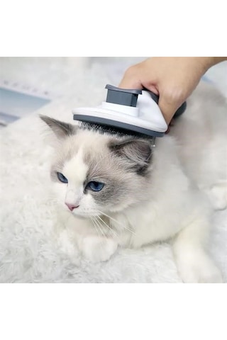 Büro Ev Evcil Hayvanı İçin Kedi Köpek Tüy Toplar Temizlik Gri Saplı Tarak