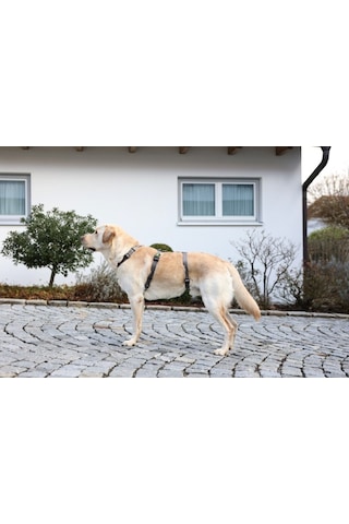 Kerbl Köpek Sırt Tasması Kaçış Önleyici 48 x 70 CM Gri