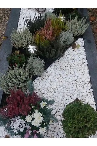 Ahs Beyaz Dolomit Taş 20 Kg 2-4 Cm Dere Çakıl Taşı Bahçe Peyzaj Süs Taşı Saksı Teraryum Akvaryum Taşı