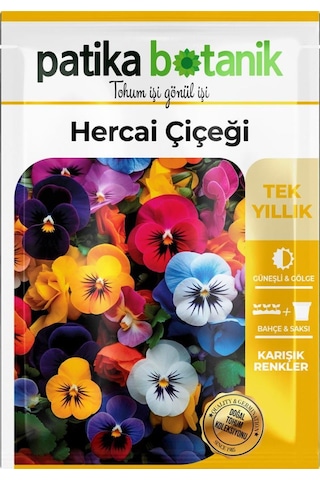 100 Adet Herca i Menekşe Çiçek Tohumu (Violaceae)