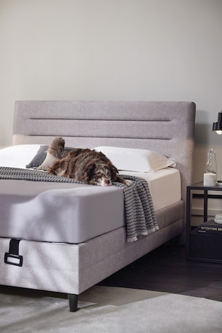 Yataş Bedding Supreme Pedic Baza, Başlık 2'li Set 90x190 - Kum