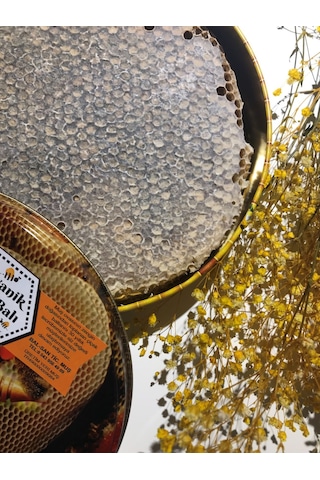 Balsan Organik Karakovan Petek Balı 2.5 KG
