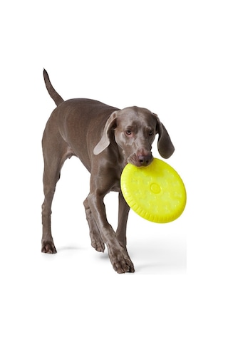 Tchibo Köpekler İçin Frizbi 684735