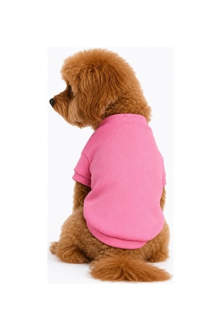 Gedyco Cute Candy Pinky Küçük Irk Köpek Likralı Sweatshirt -21566