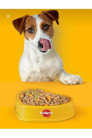 Pedigree Rodeo Biftekli Köpek Ödül Maması 70 Gr 2 Adet
