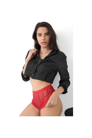 Sistina Kırmızı - 441 - Kadın Çizgili Külot Veronica-k1009 - - Ece-umay - Beden L/xl