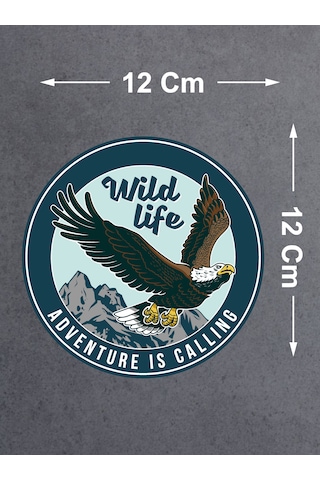 Kartal Vahşi Hayat Adventure Sticker - 4x4 Off Road Kamp Doğa Sticker- Araba Oto Cam Karavan Motosiklet Sticker - 02022 12X12 Cm