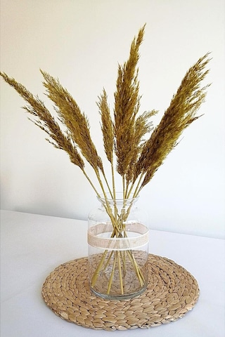 Alyones 8'li Büyük Demet Pampas Sarı 100cm Boyunda Diğer