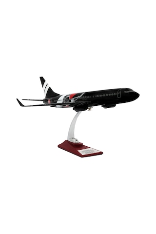 Zekupp Boeing 737-800 1/100 Ölçek Siyah Kartal Tasarımlı Maket Uçak