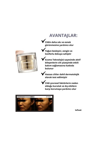Medipeel Premium Golden Camellia Wrinkle Cream 50 Ml Kamelya Özlü Yenileyici Ve Nemlendirici Krem
