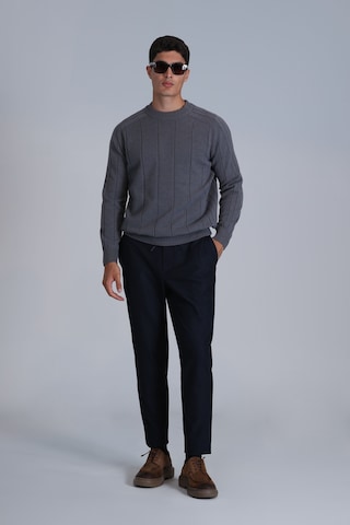 Lufian Lıght Erkek Kazak Gri Gri 112090139100150 Gri