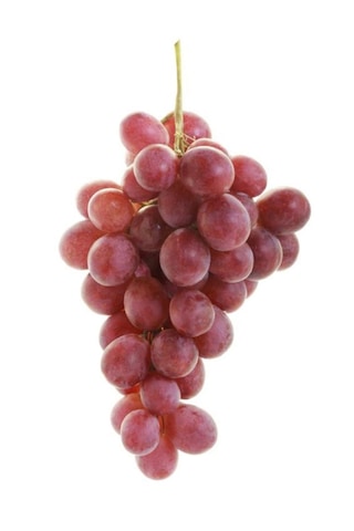 Pembemsi Kırmızı Üzüm Fidanı "red Globe" 1-2 Yaş Arası Tüplü