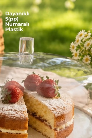 Kapaklı Yuvarlak Pasta Standı Sunumluk Kek Ve Tatlı Servis Fanusu 25 Cm Antrasit
