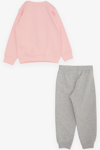 Breeze Kız Çocuk Eşofman Takım Çiçek Temalı Tavşancık Nakışlı 1-4 Yaş, Pembe-pembe Pembe