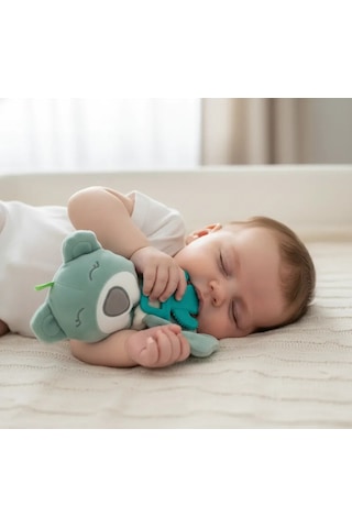 Babyjem Diş Kaşıyıcılı Uyku Arkadaşım 680 Yeşil