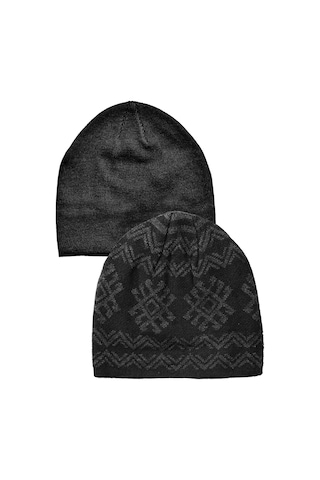 Alaska The Last Frontier Çift Taraflı Doubleface Kumaş Unisex Bere Gri - Siyah