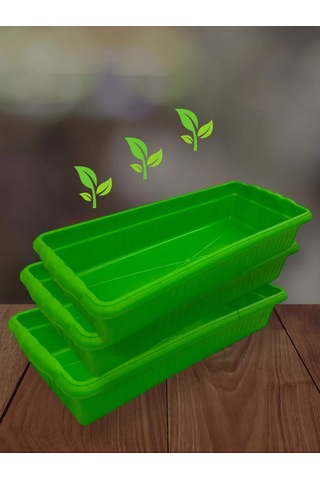 Prohoz Fide Ve Çiçekler İçin Tepsi 207483311